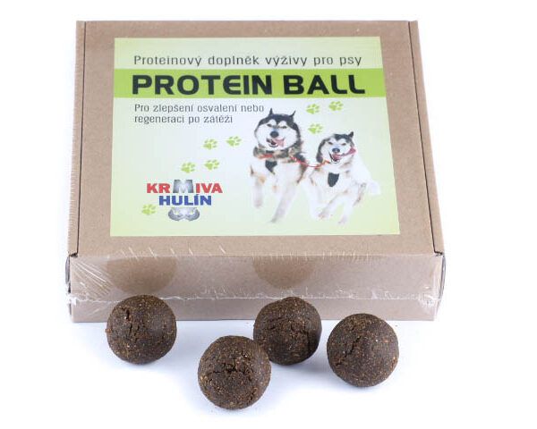 4424e178850532cf2fadff674e38cd8a-protein-ball-500g-2